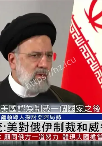 普京将会见伊朗外长