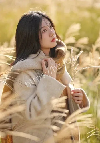 页面不存有野心时间线