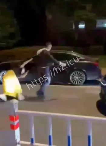 女霸王殴打司机