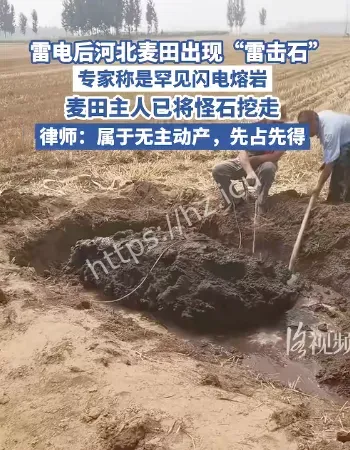专家称是