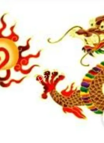 中原乡村奇闻