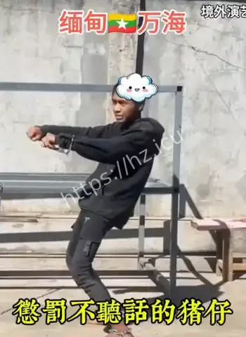 内部视频流出