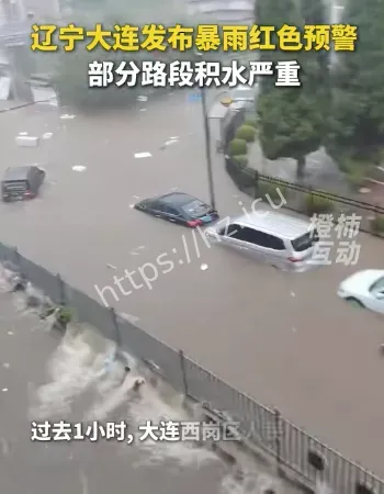 马路变大海